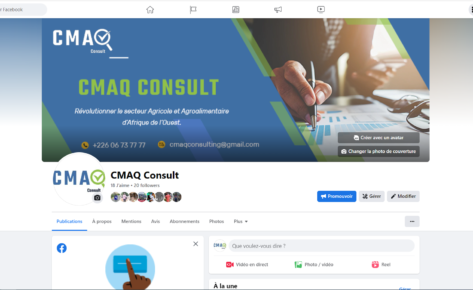 CMAQ CONSULT: Cabinet de conseil