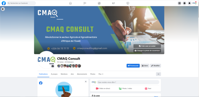 CMAQ CONSULT: Cabinet de conseil